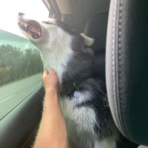 Meet your Posher, Amie